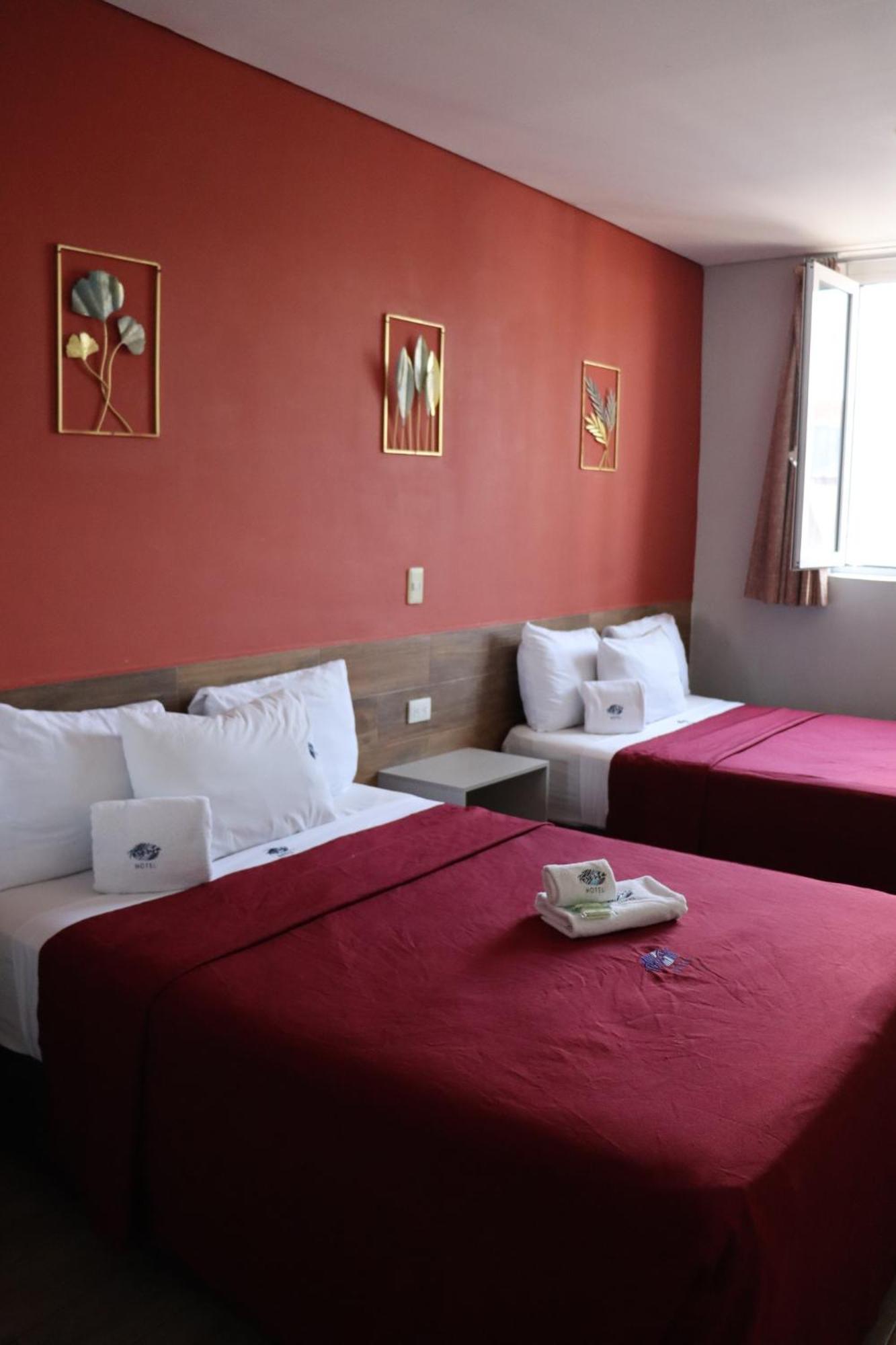 Teresita 2* Puebla